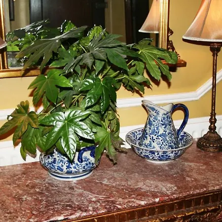 O'shea's Merchant Guest house Dublin